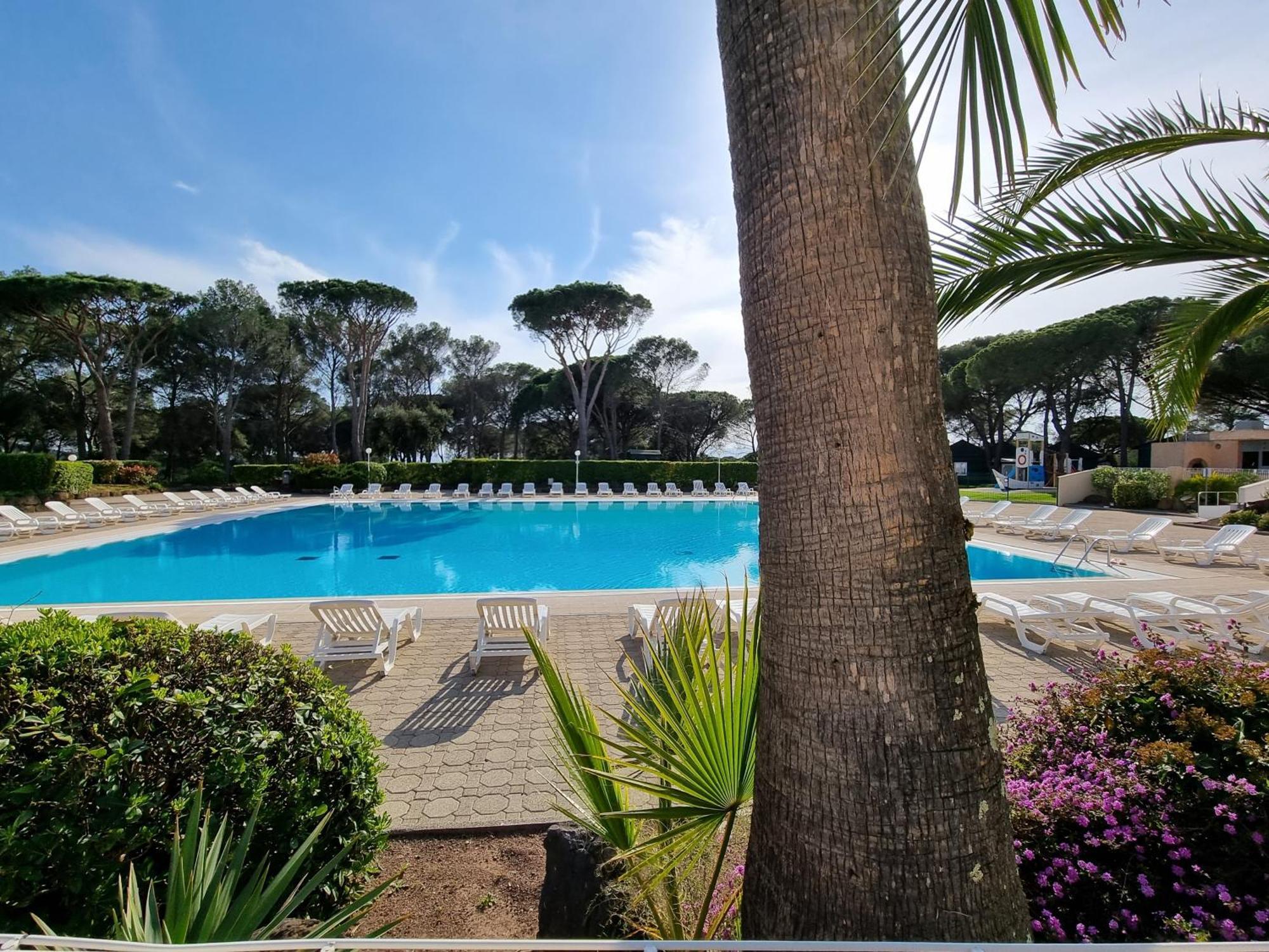 Studio 4P Vue Piscine St Raphael Valescure - Au Coeur Des Golfs Saint-Raphaël Exterior foto